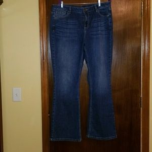 Lane Bryant Mid rise Boot cut medium wash jeans